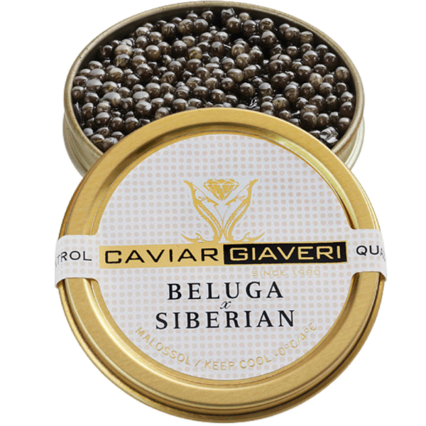 Beluga Siberian - Caviar Giaveri 30/50/100g
