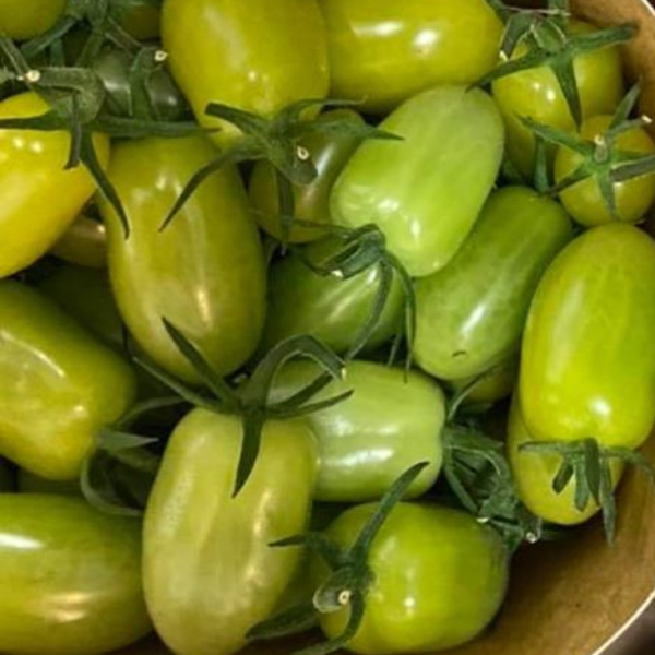 Tomato Datterino Green 300g (±10%) Mercato Gourmet - Tomato & Sauces 300g (±10%) @Mercato Gourmet | Your Italian Gourmet Supermarket