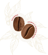 Academia 90% Arabica & 10% Robusta Coffee Beans 1kg - Hausbrandt