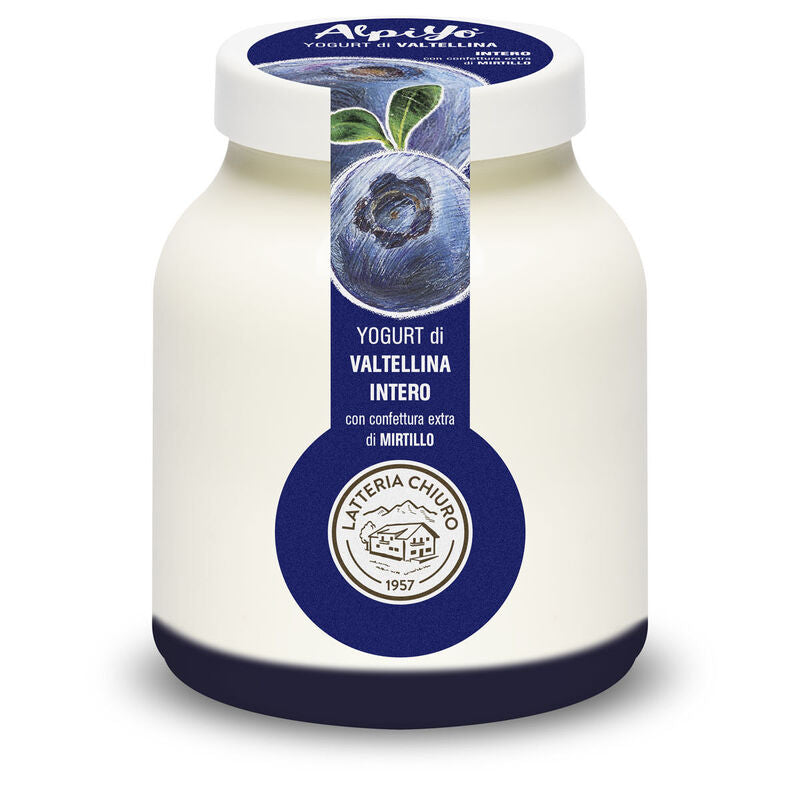 AlpiYò Valtellina Blueberry Yogurt 500g - Latteria Chiuro