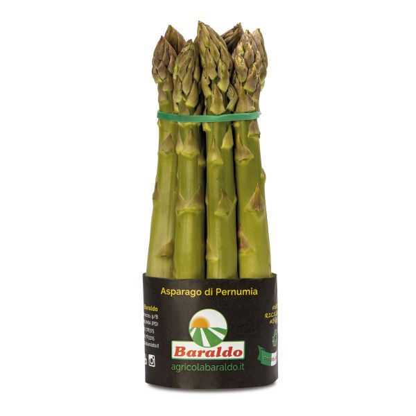 Fresh Green Asparagus From Pernumia Caliber 22+ 500g (±10%) / Bunch