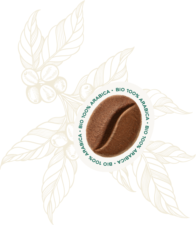 Bio 100% Arabica Coffee Beans 1kg - Hausbrandt