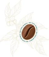 Bio 100% Arabica Coffee Beans 1kg - Hausbrandt