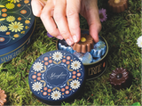 Assorted Margherite Tin 55g - Streglio