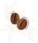 Delizia Ground Coffee 250g - Hausbrandt