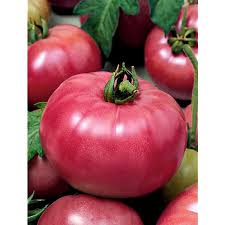 Costiera Tomato 400g