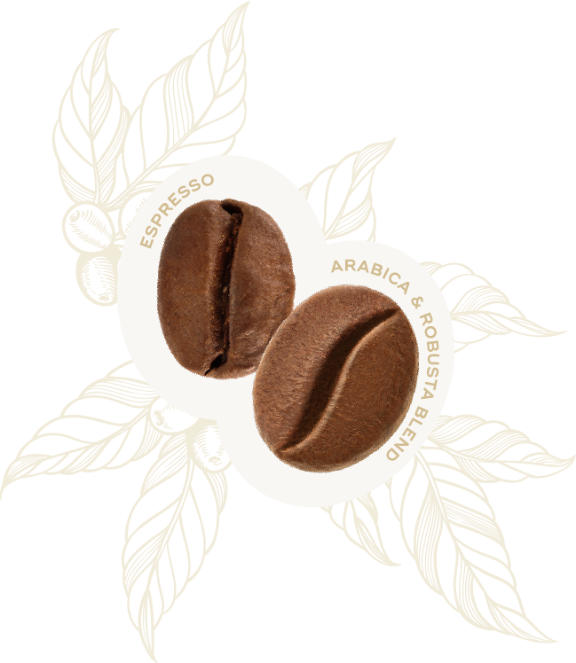 Espresso 50% Arabica & 50% Robusta Coffee Beans 1kg - Hausbrandt
