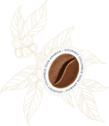Gourmet Columbus 100% Arabica Coffee Beans 1kg - Hausbrandt