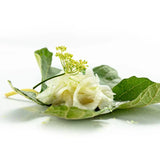 Raw Fennel Carpaccio - I Contadini