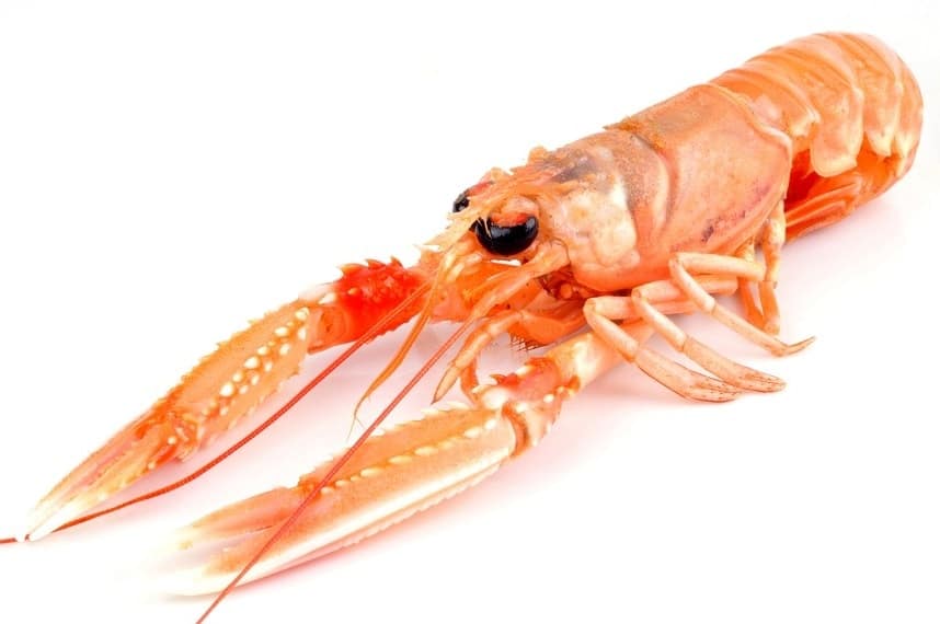 Frozen Langoustine 700g/pack
