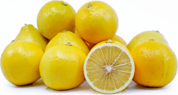 Bergamot