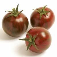 Fresh Tomato Zebrino