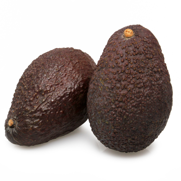 Australian Avocado