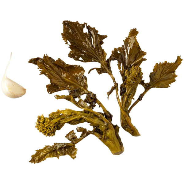 Turnip top in Oil 580g - Tipica