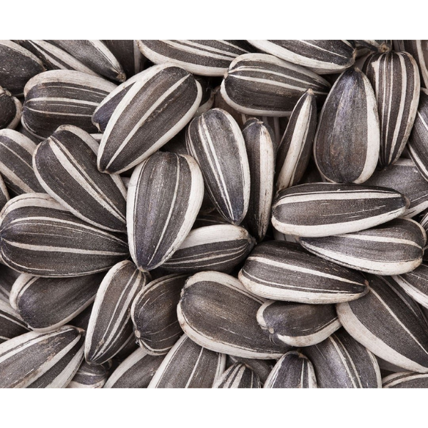 Organic High Oleic Sunflower Seed Oil - Benvolio