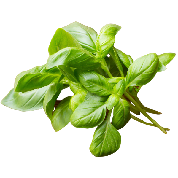 Fresh Basil 50g(±10%) / bunch