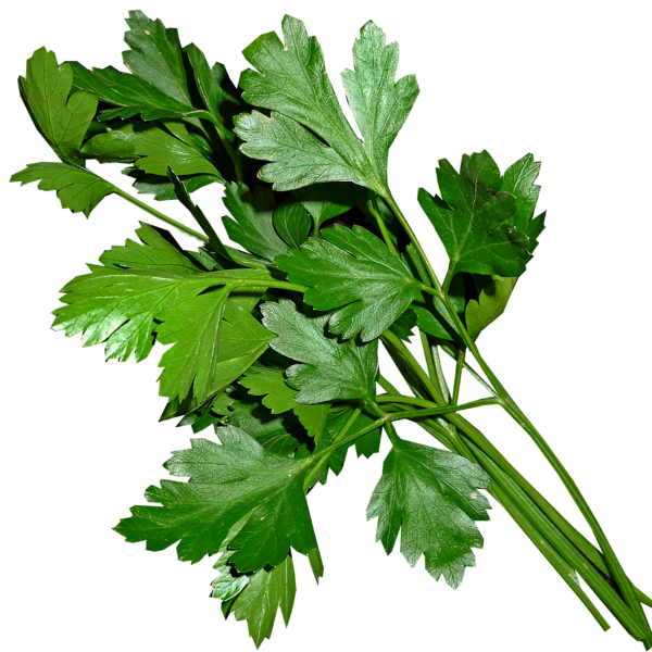 Fresh Parsley 50g(±10%) / bunch